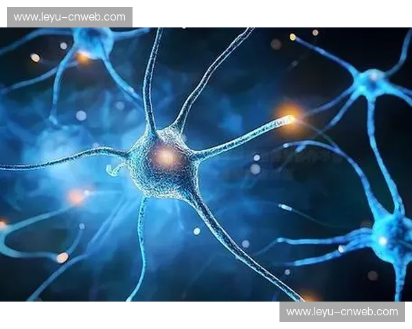 神经渲染技术加速三维内容生产，降低制作成本